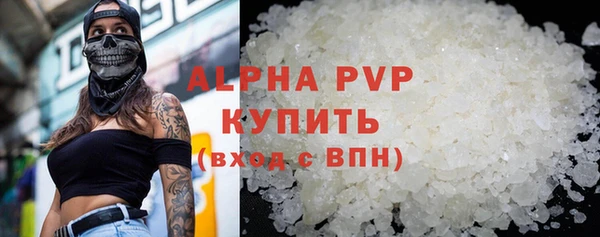 спиды Магас