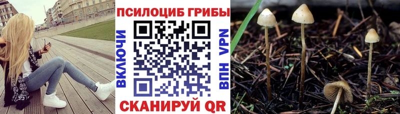 Галлюциногенные грибы MAGIC MUSHROOMS  Вологда 