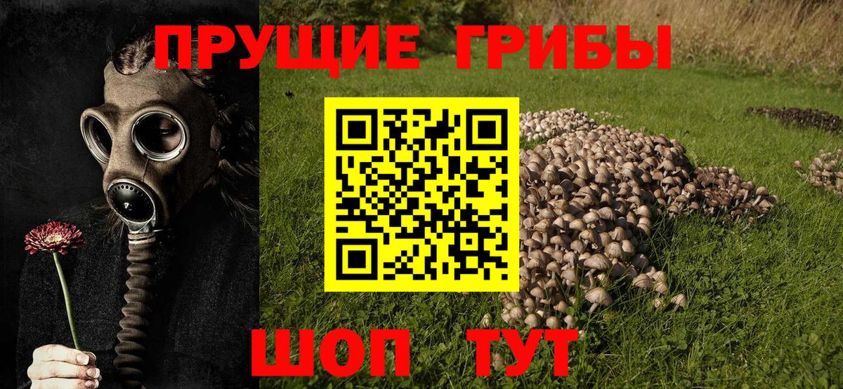 Галлюциногенные грибы MAGIC MUSHROOMS  Галлюциногенные грибы Psilocybe  Вологда  Вход с VPN 