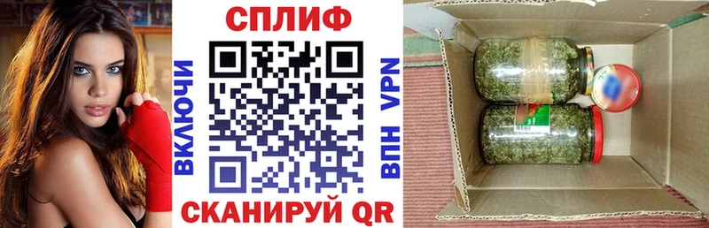 Каннабис SATIVA & INDICA  Вологда 